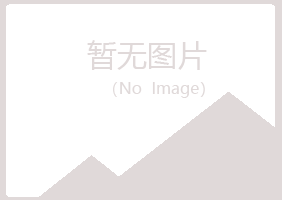 铁山区操控会计有限公司